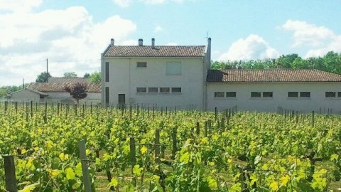 L'école de Villeneuve-de-Blaye en question © France Aquitaine